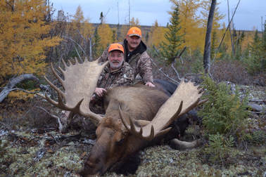 Manitoba Moose Hunt